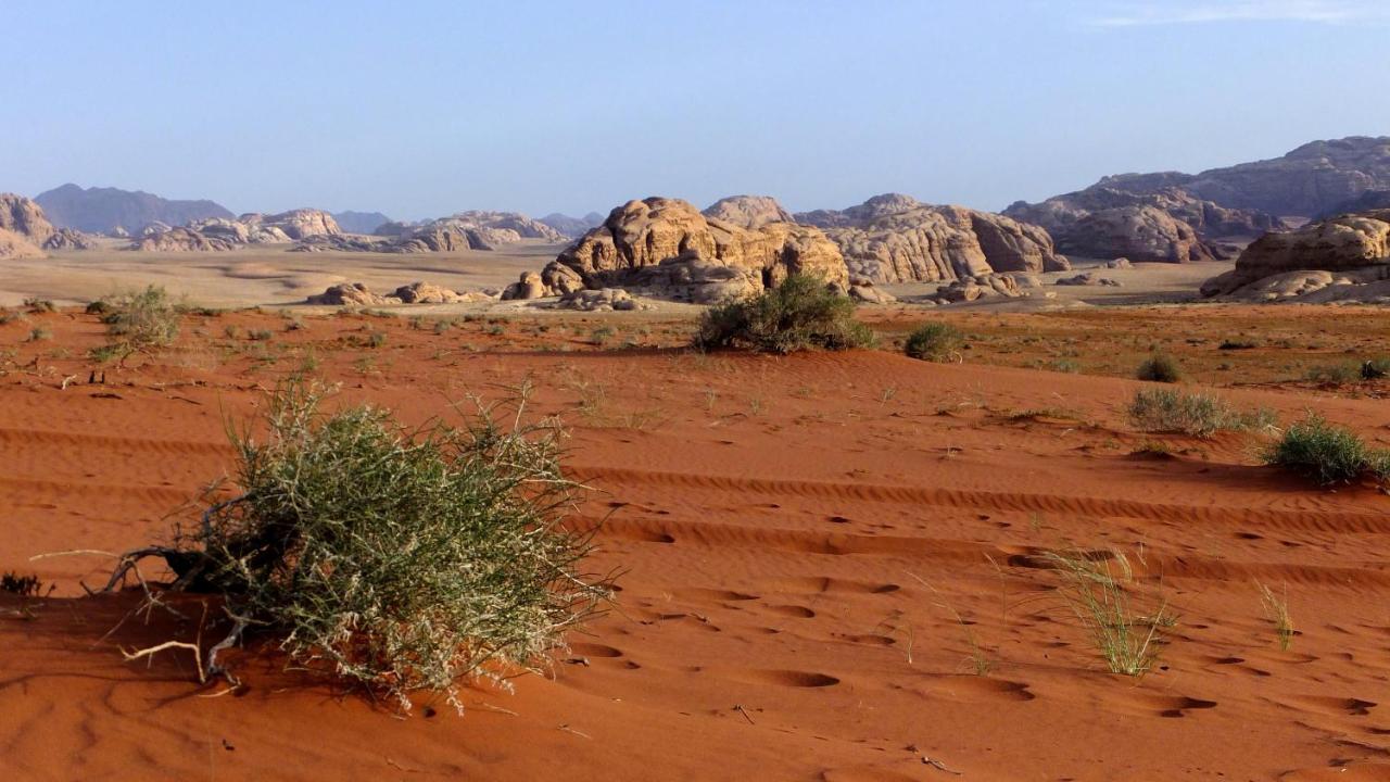 Hotel Salem Camp Wadi Rum Exterior foto